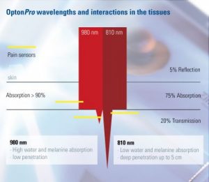 Bildschirmfoto-2016-10-24-um-17.28.19-1-392x341-300x261