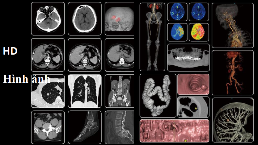 Screenshot 2025-08-04 083700